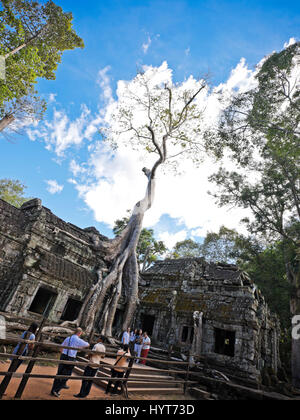 Vertikale Ansicht von Touristen in einem der legendären Orte im Ta Prohm Tempel in Kambodscha Stockfoto