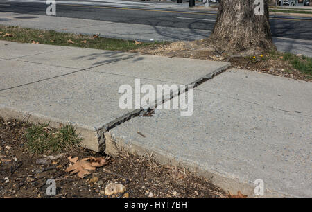 Unebenen Gehweg und Crack verursacht durch wachsende Baumwurzeln, ein Stadt-Thema die Menschen veranlassen, stolpern und selbst zu verletzen. Viele solche Bürgersteig Gefahren in DC Stockfoto
