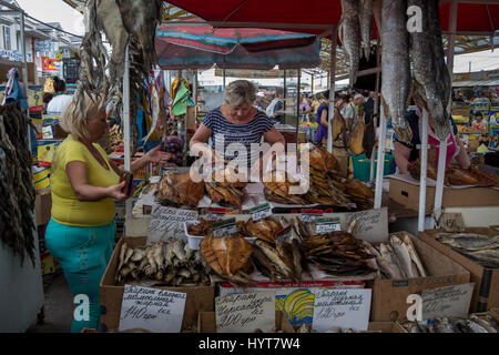 ODESSA, UKRAINE - 13. August 2015: Verkäufer in Privoz Markt, Odessa, Ukraine Bild von alten Frauen verkaufen Fisch Räucherfisch auf dem legendären Privoz Markt Stockfoto