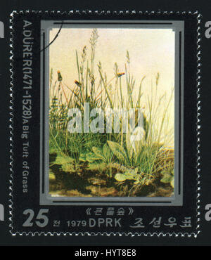 Nordkorea - ca. 1979: Eine Briefmarke gedruckt in Nordkorea zeigt A große Büschel Grass von Albrecht Dürer, ca. 1979 Stockfoto