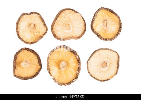 6 getrocknete Shiitake-Pilze isoliert auf einem weißen Hintergrund. Stockfoto
