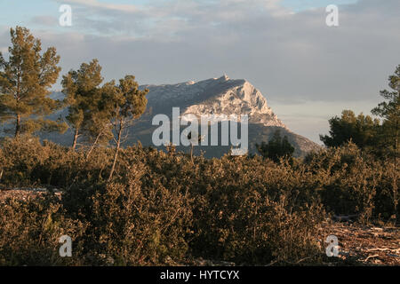 Berg Sainte Victoire aus dem umliegenden Wald bei Sonnenuntergang im Winter. Berg Sainte Victoire ist eines der Symbole der Stadt Aix-en-Pro Stockfoto