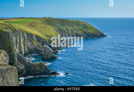 Klippen am alten Kopf, County Cork, Irland Stockfoto