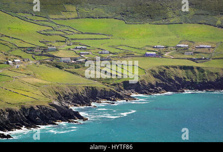 Klippen in der Nähe von Coumeenoole, Halbinsel Dingle, Irland Stockfoto