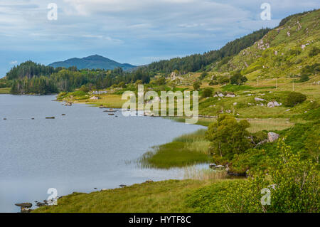 Idyllischer Blick entlang des Ring of Kerry, Irland Stockfoto