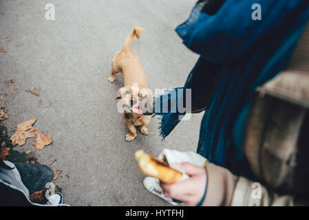 Frau, Fütterung einen Hund auf der Straße Stockfoto