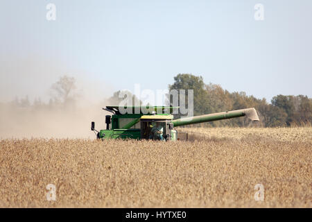 2010-Soja-Ernte im südöstlichen Iowa. Stockfoto