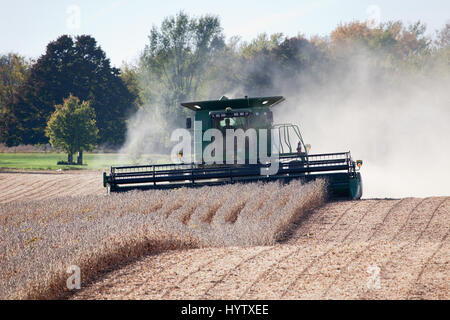 2010-Soja-Ernte im südöstlichen Iowa. Stockfoto