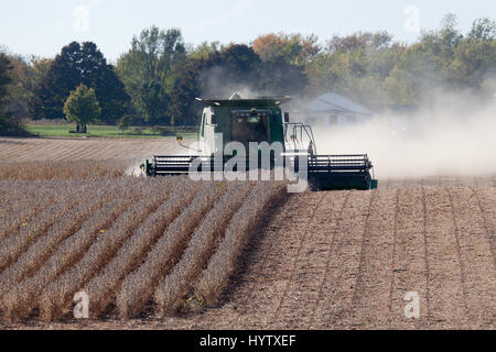 2010-Soja-Ernte im südöstlichen Iowa. Stockfoto