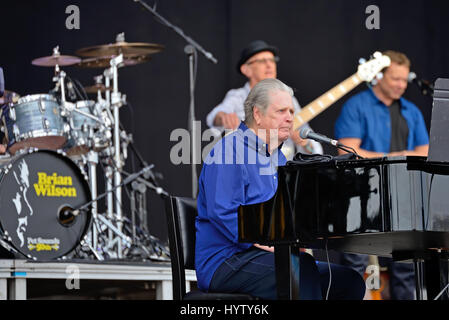 BARCELONA - 4 JUN: Brian Wilson (Band) führen im Konzert beim Festival Primavera Sound 2016 am 4. Juni 2016 in Barcelona, Spanien. Stockfoto