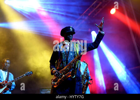 BARCELONA - 4 JUN: Orchestra Baobab (Afro-Cuban-Karibik-Fusion-Band) führen im Konzert beim Festival Primavera Sound 2016 am 4. Juni 2016 in Barcelon Stockfoto