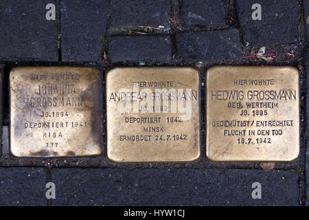 Deutschland, Köln, Stolpersteine (Stolpersteine) durch den Künstler Gunter Demnig. Die Stones Gedenken der Opfer des Nationalsozialismus (NS-Zeit). Stockfoto