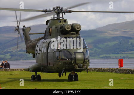 RAF Puma Helikopter in Beaumaris Anglesey, Stockfoto