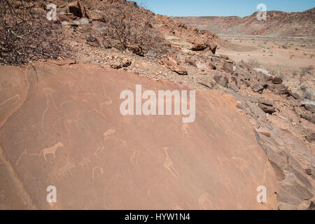 Urgestein Schnitzereien, Twyfelfontein, Damaraland, Namibia. Stockfoto