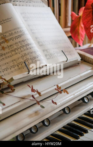 Innen Scrivener Buchladen in Buxton, Derbyshire Stockfoto