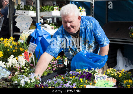 LONDON, ENGLAND - 2. April 2017 männlichen Blumenverkäuferin am Sonntag Columbia Road Market, London, England, UK Stockfoto