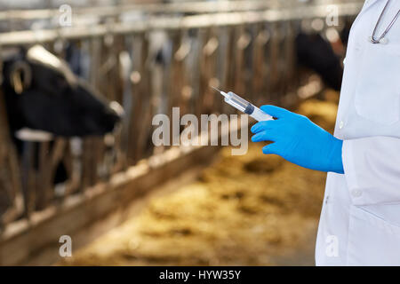 Tierarzt Hand mit Impfstoff in Spritze auf Bauernhof Stockfoto