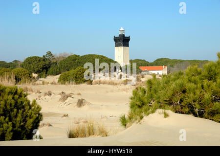 Strand von Espiguette oder Plage d'Espiguette und Leuchtturm am Le Grau-du-Roi-Camargue-Gard-Frankreich Stockfoto