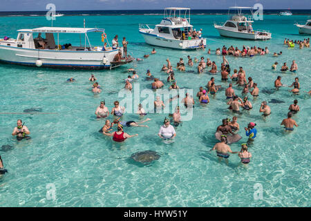 Touristen zu sammeln AtStingray Stadt, die eine Reihe von flachen Sandbänke in North Sound von Grand Cayman, Cayman-Inseln gefunden. Stockfoto