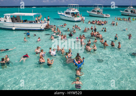 Touristen zu sammeln AtStingray Stadt, die eine Reihe von flachen Sandbänke in North Sound von Grand Cayman, Cayman-Inseln gefunden. Stockfoto