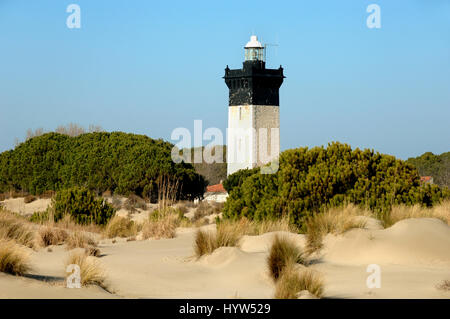 Strand von Espiguette oder Plage d'Espiguette und Leuchtturm am Le Grau-du-Roi-Camargue-Gard-Frankreich Stockfoto