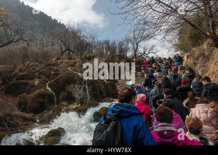 Masse lokalen Tourismus, wo die Chinesen auf ausgewiesenen Gehwege im wunderschönen Nationalpark Jiuzhaigou, China enthalten sind. Stockfoto