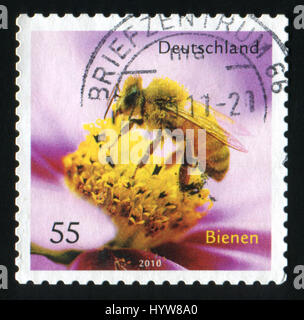 Deutschland - ca. 2010: Eine Briefmarke gedruckt in Deutschland zeigt Honigbiene und Blume, ca. 2010. Stockfoto