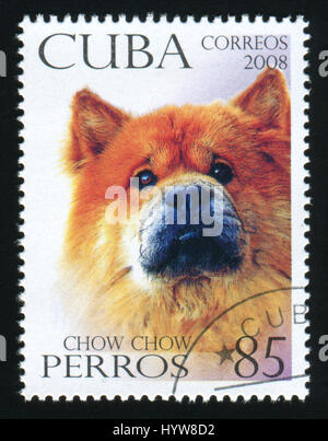 Kuba - CIRCA 2008: Eine Briefmarke gedruckt in Kuba zeigt Bild von einem Chow Chow, ca. 2008 Stockfoto