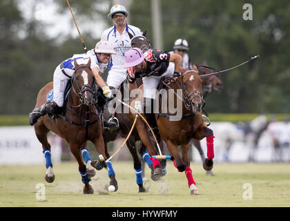 Wellington, Florida, USA. 26. April 2017. Orchard Hill Vs Valiente im Finale der 113. US Open Finale am International Polo Club Palm Beach in Wellington, Florida am 25. April 2017. Die U.S. Open Polo Championship wurde am vergangenen Sonntag wegen starken Regens verschoben. Bildnachweis: Allen Eyestone/The Palm Beach Post/ZUMA Draht/Alamy Live-Nachrichten Stockfoto