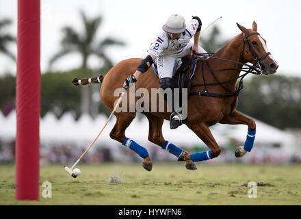 Wellington, Florida, USA. 26. April 2017. Valiente Matias Torres Zavaleta im Finale der 113. US Open Finale am International Polo Club Palm Beach in Wellington, Florida am 25. April 2017. Die U.S. Open Polo Championship wurde am vergangenen Sonntag wegen starken Regens verschoben. Bildnachweis: Allen Eyestone/The Palm Beach Post/ZUMA Draht/Alamy Live-Nachrichten Stockfoto