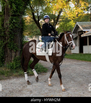 Lexington, Kentucky, USA. 26. April 2017. CHELSEA HEERY, Empfänger eines Diploms in Equine Studies / Reiter-Option im Jahr 2014 aus dem nordamerikanischen Racing Academy, und jetzt der Assistant Trainer für Joe Sharp Racing Stables, während ein Training am frühen Morgen bei Keeneland Race Course. Die Zweijahres-NARA Programm am Bluegrass Gemeinschaft & Technical College, das erste und einzige akkreditierte Volkshochschule-basierte Rennschule in den USA, vermittelt den Studierenden die Bildung, Ausbildung und Erfahrung nötig, um Fachmann auf dem Gebiet des Reitens ein Rennpferd, kompetent in der Betreuung und Verwaltung der Rasse geworden Stockfoto