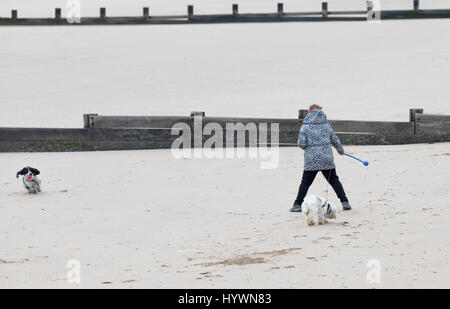 Rhyl, Denbighshire, Wales, UK. UK Wetter für den Feiertag sieht gemischt und viele werden kühl, bedeckt mit Regen in der Zeit sehen. Es ist ein kalter Wind und nassen Tag manchmal im Seebad Rhyl im Norden von Wales mit einem kalten Norden Brise vom Meer wie ein Hund Walker wirft eine Kugel für ihre Spaniel am Strand Stockfoto