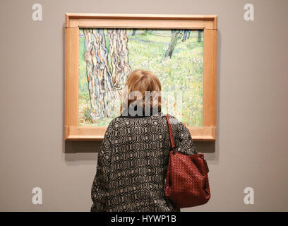 Melbourne, Australien. 27. April 2017. Baumstämme in den Rasen 1890 Saint Remy. Eine Presse-Preview von Van Gogh und die Jahreszeiten-Ausstellung in der National Gallery of Victoria mit großen Werken der holländischen impressionistischen Malers Vincent Van Gogh reflektieren die vier Jahreszeiten Frühling, Sommer Herbst und Winter Credit: Amer Ghazzal/Alamy Live-Nachrichten Stockfoto