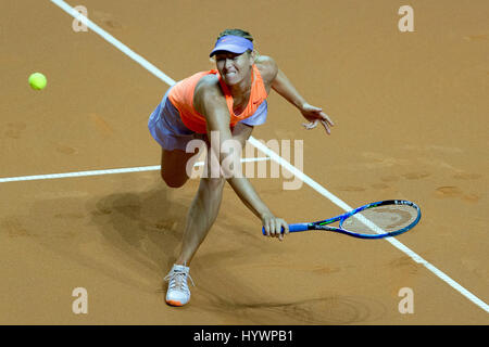 Stuttgart, Deutschland. 26. April 2017. Maria Sharapova aus Russland im Kampf gegen Italiens Vinci während ihrer ersten Runde Tennis-Match beim Porsche Tennis Grand Prix in Stuttgart, Deutschland, 26. April 2017. Foto: Daniel Maurer/Dpa/Alamy Live News Stockfoto