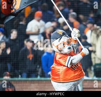 San Francisco, Kalifornien, USA. 26. April 2017. Lou das Siegel feiert eine Riesen 4: 3-Sieg nach einem MLB Baseball-Spiel zwischen den Los Angeles Dodgers und den San Francisco Giants im AT&T Park in San Francisco, Kalifornien. Valerie Shoaps/CSM/Alamy Live-Nachrichten Stockfoto
