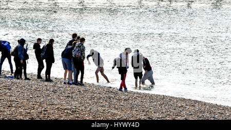 Brighton, UK. 7. April 2017. Studenten genießen eine Paddel auf Brighton Beach heute Morgen mit Temperaturen über 20 Grad Celsius am Sonntag erreichen wenn die Brighton Marathon in der Stadt Credit findet: Simon Dack/Alamy Live News Stockfoto