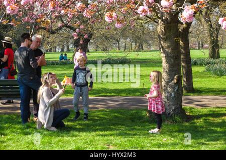 London, UK. 7. April 2017. Touristen und Londoner genießen die schönen Cherry Blossom im Greenwich Park. Kredit: Claire Doherty/Alamy Live News Stockfoto