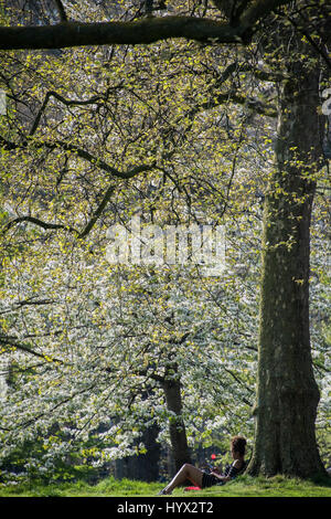 London, UK. 7. April 2017.  Touristen und Einheimische genießen Sie am späten Nachmittag Sonne und der Frühling Blüte im grünen Park. Bildnachweis: Guy Bell/Alamy Live-Nachrichten Stockfoto