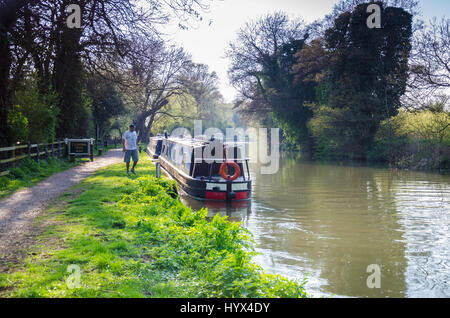 Warmen Sonnenstrahlen am frühen Abend an den Ufern des The River Kennet in Reading. Stockfoto