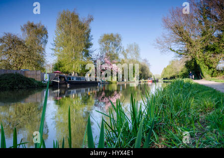 Warmen Sonnenstrahlen am frühen Abend an den Ufern des The River Kennet in Reading. Stockfoto