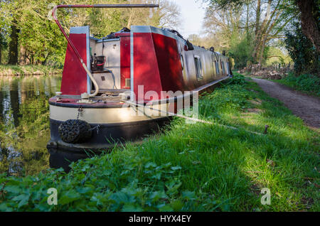 Warmen Sonnenstrahlen am frühen Abend an den Ufern des The River Kennet in Reading. Stockfoto