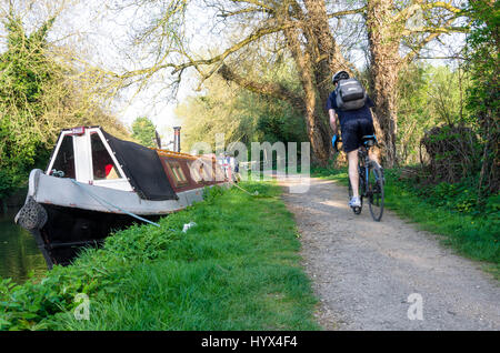 Warmen Sonnenstrahlen am frühen Abend an den Ufern des The River Kennet in Reading. Stockfoto