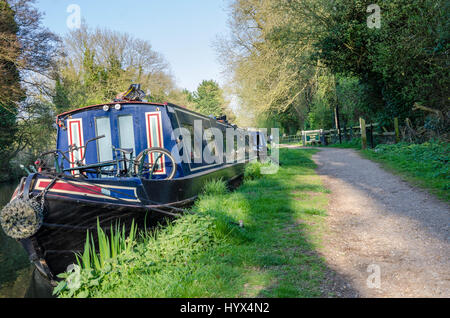 Warmen Sonnenstrahlen am frühen Abend an den Ufern des The River Kennet in Reading. Stockfoto