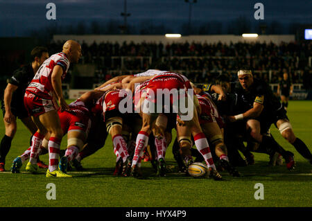Newcastle Upon Tyne, England, 7. April 2017. Gloucester Rugby-Kapitän und Scrum Hälfte Will Heinz wartet, den Ball mit einem Scrum während ihres Spiels gegen Newcastle Falcons in der AVIVA Premiership in Kingston Park. Bildnachweis: Colin Edwards/Alamy Live-Nachrichten. Stockfoto