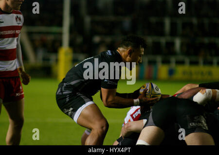 Newcastle Upon Tyne, England, 7. April 2017. Sonatane Takukua, Ersatz-Scrum Hälfte für Newcastle Falcons bereitet, den Ball in ein Gedränge bei der AVIVA Premiership Spiel gegen Gloucester Rugby in Kingston Park. Bildnachweis: Colin Edwards/Alamy Live-Nachrichten. Stockfoto