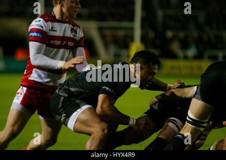 Newcastle Upon Tyne, England, 7. April 2017. Sonatane Takukua, Ersatz-Scrum, die Hälfte für Newcastle Falcons nachdem man den Ball in einem Scrum während der AVIVA Premiership gegen Gloucester Rugby in Kingston Park Spiel. Bildnachweis: Colin Edwards/Alamy Live-Nachrichten. Stockfoto