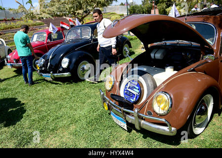 Kairo, Ägypten. 7. April 2017. VW Käfer Oldtimer werden während der 5. Kairo Classic treffen in Kairo, Ägypten, 7. April 2017 ausgestellt. Der 5. Kairo Classic Treffen fand hier am Freitag, mit über 100 Oldtimern paradieren die Hauptstadt Ägyptens. Bildnachweis: Zhao Dingzhe/Xinhua/Alamy Live-Nachrichten Stockfoto