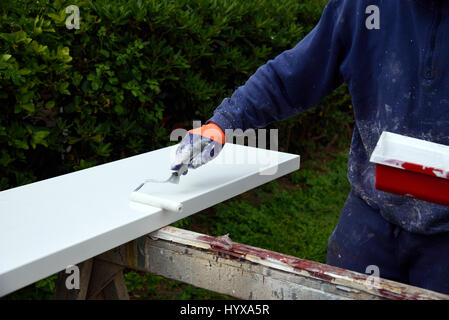Man malt ein Holzbrett mit Walze Stockfoto