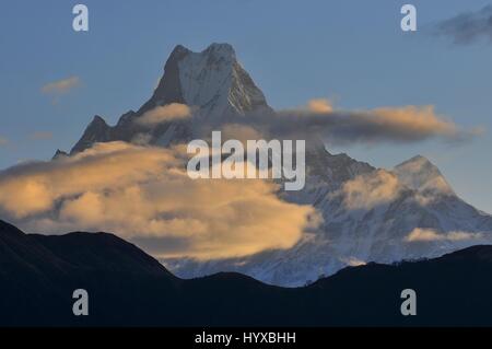 Nepal, Annapurna Conservation Area, Machapuchare oder Machhapuchhre '' Fish Tail'', Berg in der Annapurna-Himal von Nord-Zentral-Nepal " Stockfoto