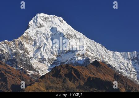 Nepal, Annapurna Conservation Area, Annapurna South Blick vom Tadapani, Nepal Himalaya Stockfoto